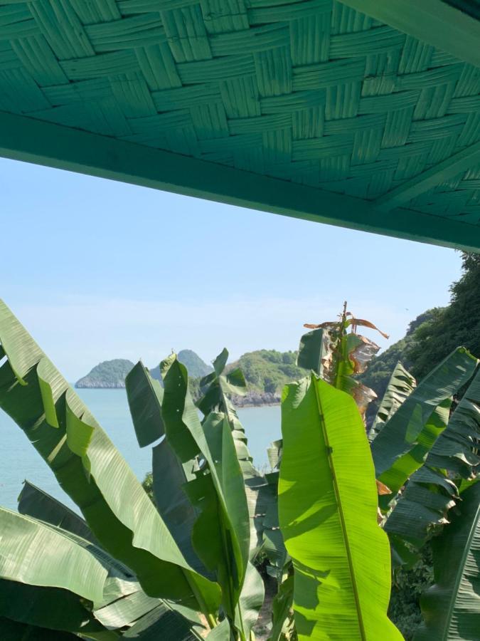 Ocean Beach Resort Cat Ba Island Bagian luar foto